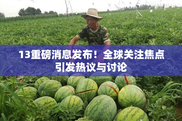 13重磅消息发布！全球关注焦点引发热议与讨论