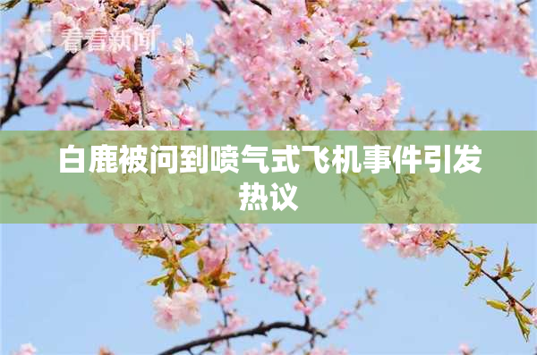 白鹿被问到喷气式飞机事件引发热议