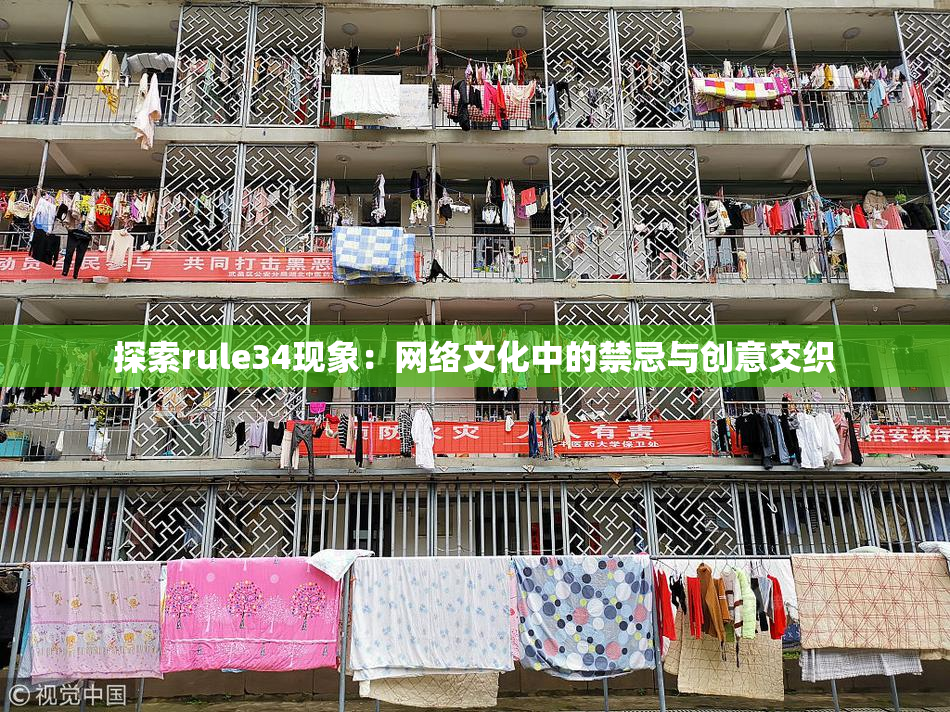 探索rule34现象：网络文化中的禁忌与创意交织
