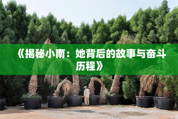 《揭秘小南：她背后的故事与奋斗历程》
