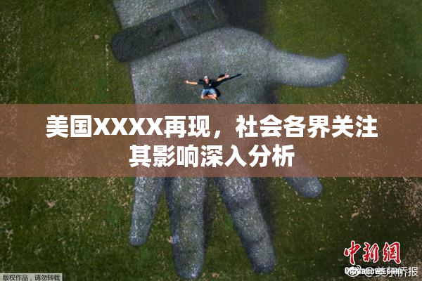 美国XXXX再现，社会各界关注其影响深入分析