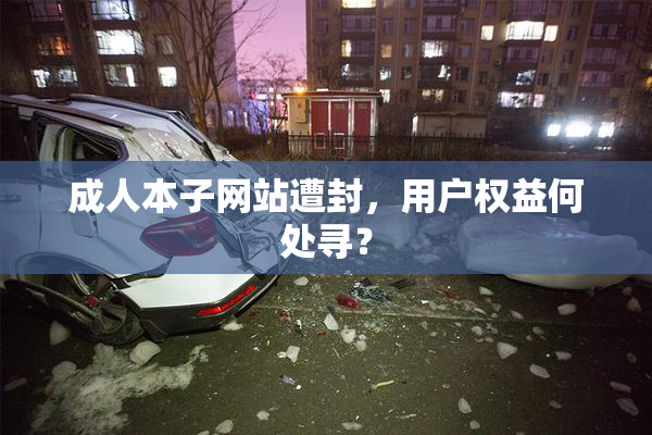 成人本子网站遭封，用户权益何处寻？