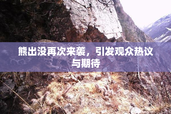 熊出没再次来袭，引发观众热议与期待