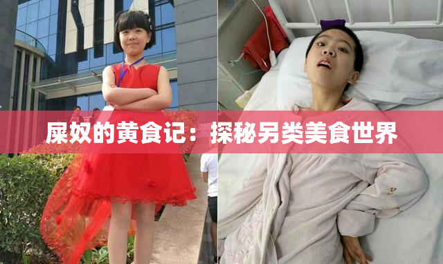 屎奴的黄食记：探秘另类美食世界