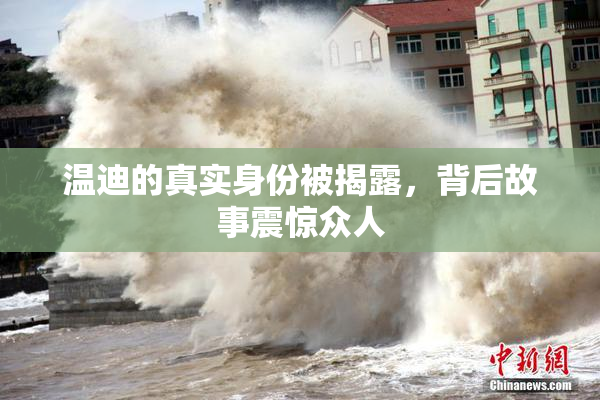 温迪的真实身份被揭露，背后故事震惊众人