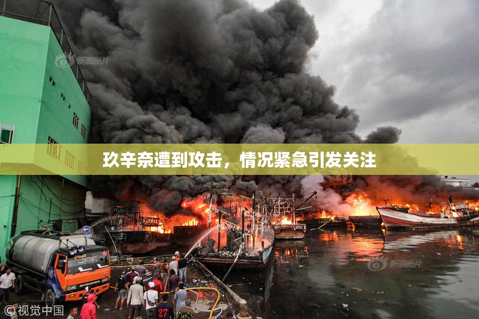 玖辛奈遭到攻击，情况紧急引发关注