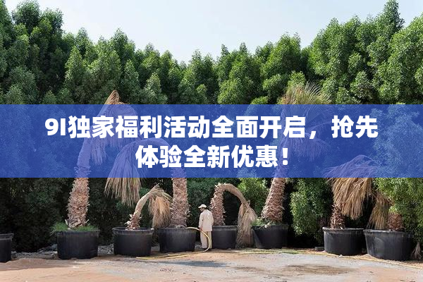 9I独家福利活动全面开启，抢先体验全新优惠！