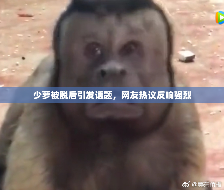 少萝被脱后引发话题，网友热议反响强烈
