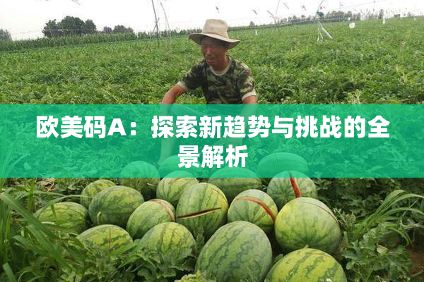 欧美码A：探索新趋势与挑战的全景解析