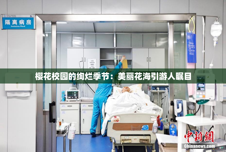 樱花校园的绚烂季节：美丽花海引游人瞩目