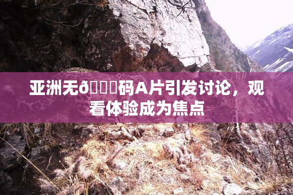 亚洲无🈚码A片引发讨论，观看体验成为焦点