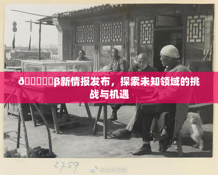 🍆❌‌β新情报发布，探索未知领域的挑战与机遇