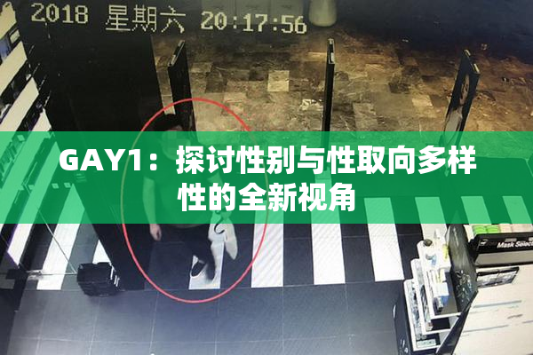 GAY1：探讨性别与性取向多样性的全新视角