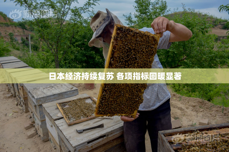 日本经济持续复苏 各项指标回暖显著