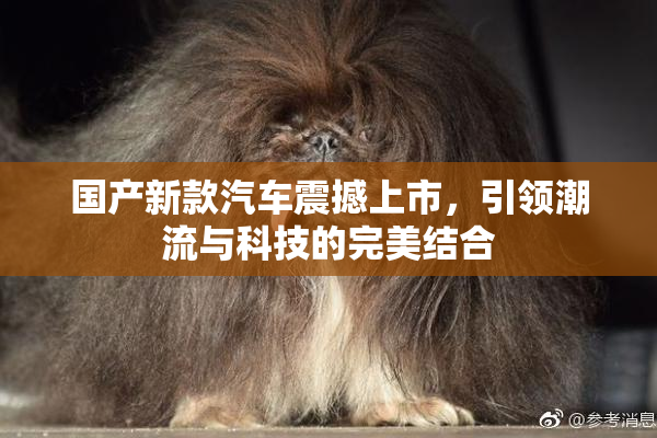 国产新款汽车震撼上市，引领潮流与科技的完美结合