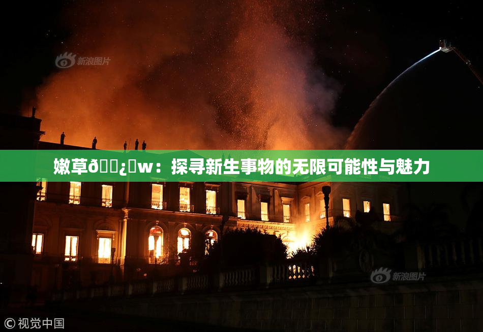 嫩草🌿‌w：探寻新生事物的无限可能性与魅力
