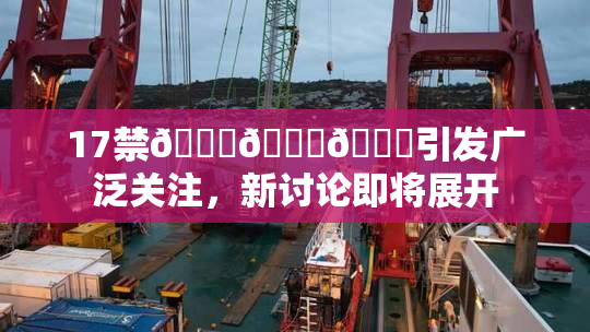 17禁🍆🍑🔞引发广泛关注，新讨论即将展开