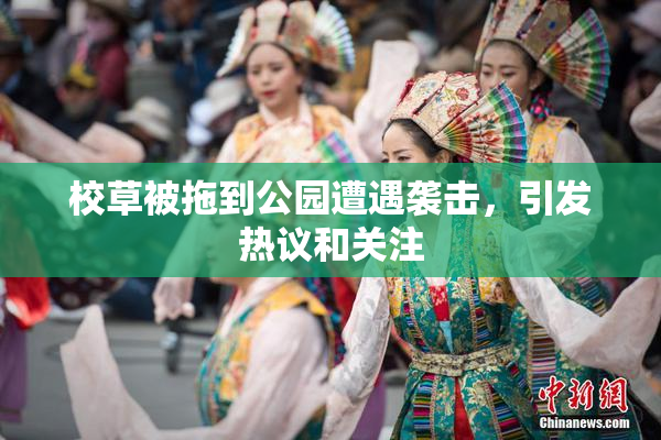 校草被拖到公园遭遇袭击，引发热议和关注