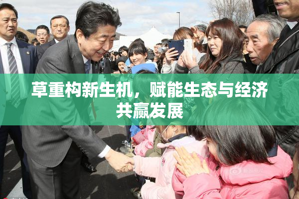 草重构新生机，赋能生态与经济共赢发展