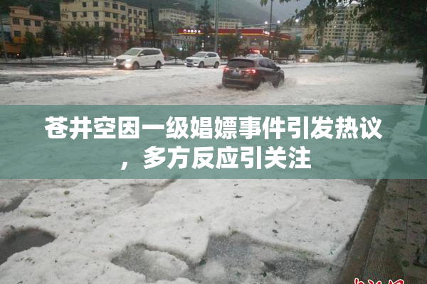 苍井空因一级娼嫖事件引发热议，多方反应引关注