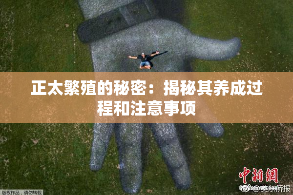 正太繁殖的秘密：揭秘其养成过程和注意事项