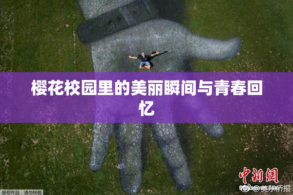 樱花校园里的美丽瞬间与青春回忆