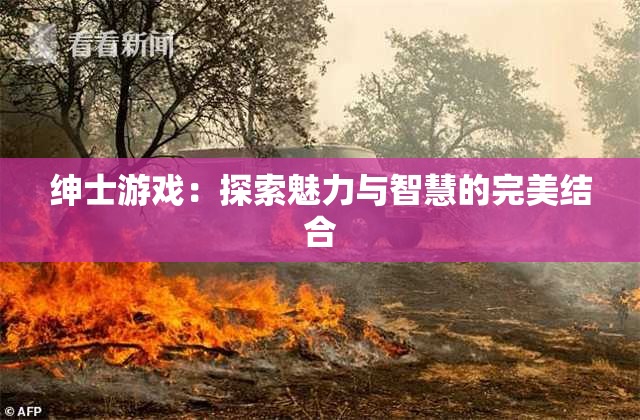 绅士游戏：探索魅力与智慧的完美结合