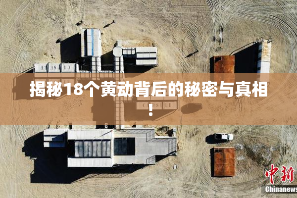 揭秘18个黄动背后的秘密与真相！