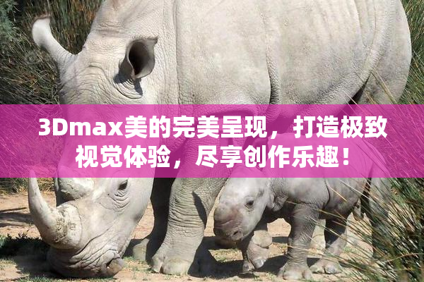 3Dmax美的完美呈现，打造极致视觉体验，尽享创作乐趣！
