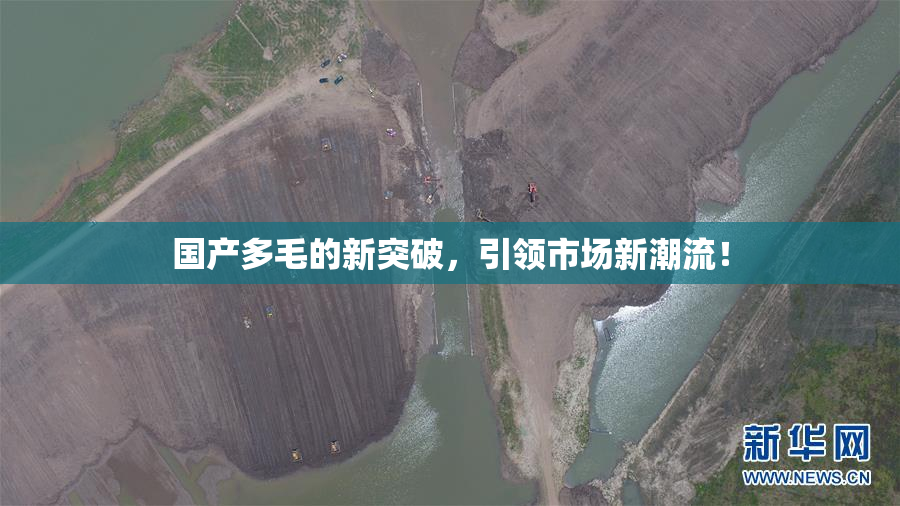 国产多毛的新突破，引领市场新潮流！