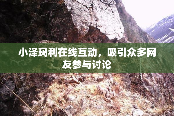 小泽玛利在线互动，吸引众多网友参与讨论