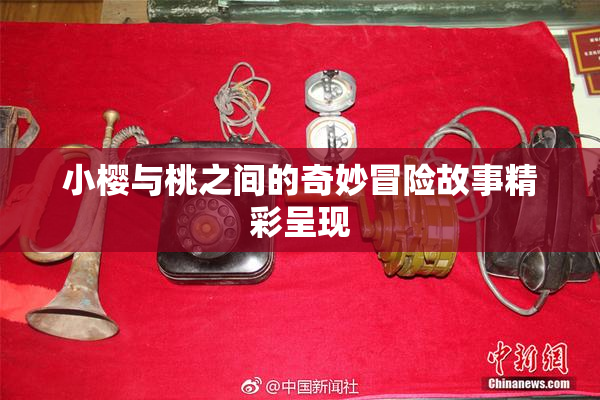 小樱与桃之间的奇妙冒险故事精彩呈现
