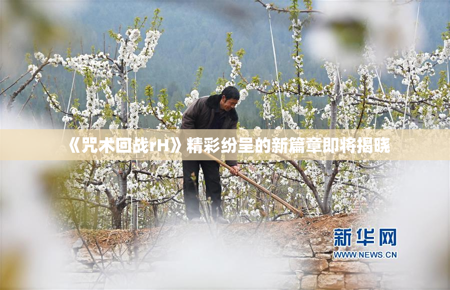 《咒术回战rH》精彩纷呈的新篇章即将揭晓