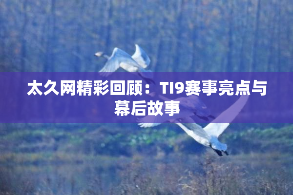 太久网精彩回顾：TI9赛事亮点与幕后故事