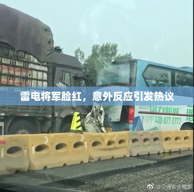 雷电将军脸红，意外反应引发热议