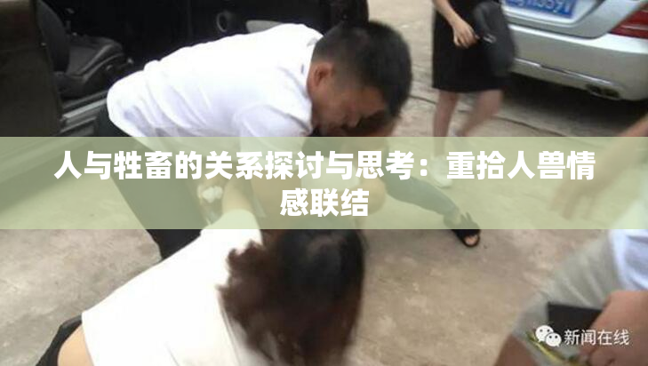 人与牲畜的关系探讨与思考：重拾人兽情感联结