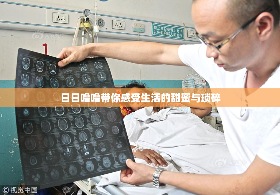 日日噜噜带你感受生活的甜蜜与琐碎
