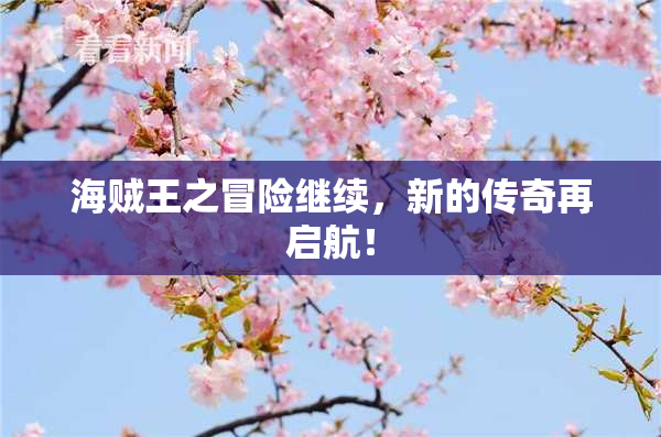 海贼王之冒险继续，新的传奇再启航！