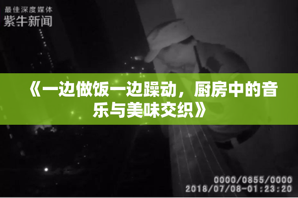 《一边做饭一边躁动，厨房中的音乐与美味交织》