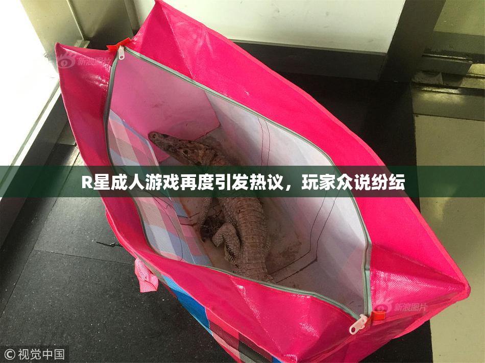 R星成人游戏再度引发热议，玩家众说纷纭