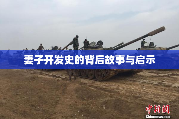妻子开发史的背后故事与启示
