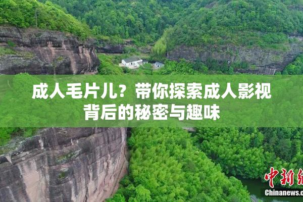 成人毛片儿？带你探索成人影视背后的秘密与趣味