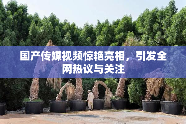 国产传媒视频惊艳亮相，引发全网热议与关注