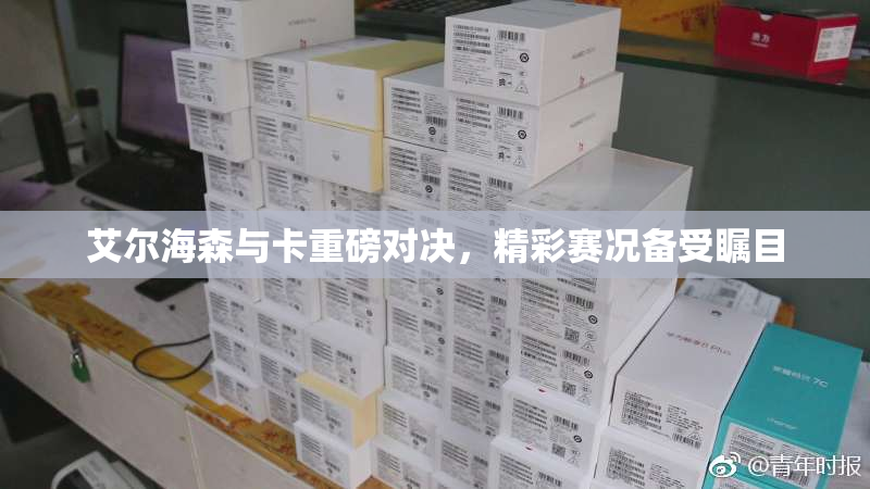 艾尔海森与卡重磅对决，精彩赛况备受瞩目