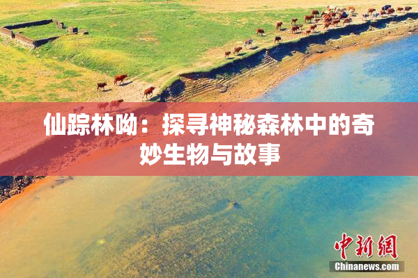 仙踪林呦：探寻神秘森林中的奇妙生物与故事
