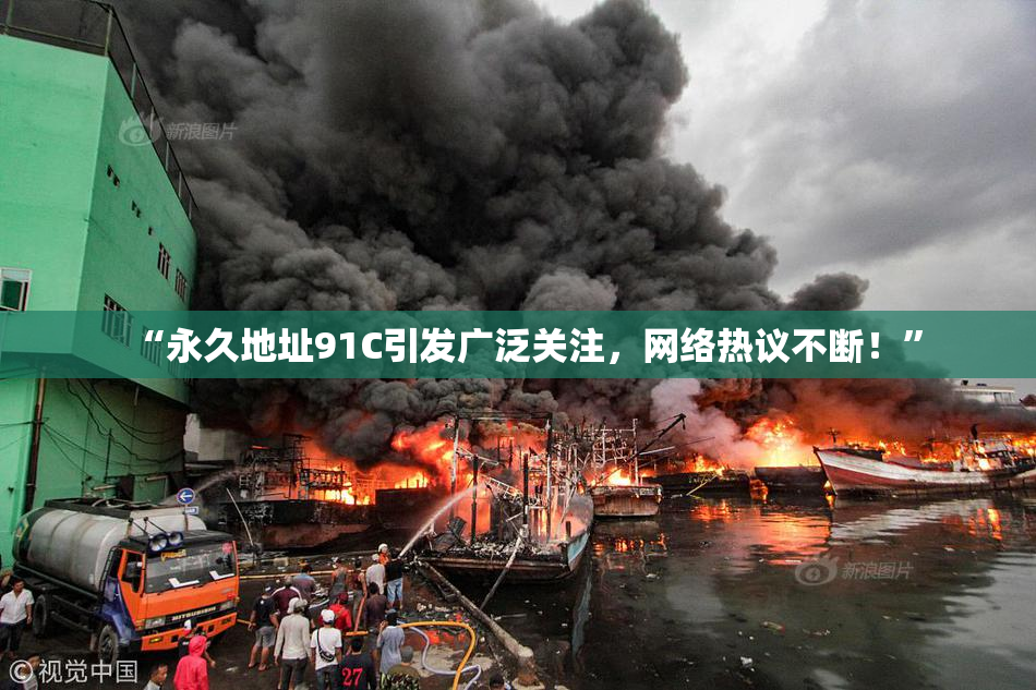 “永久地址91C引发广泛关注，网络热议不断！”