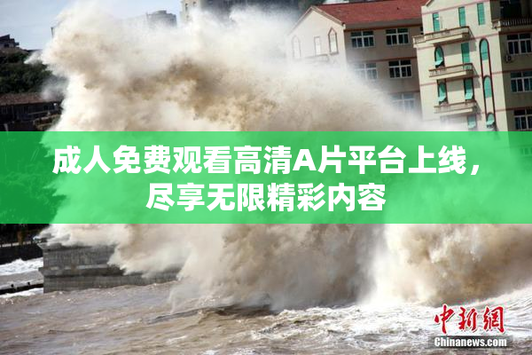 成人免费观看高清A片平台上线，尽享无限精彩内容