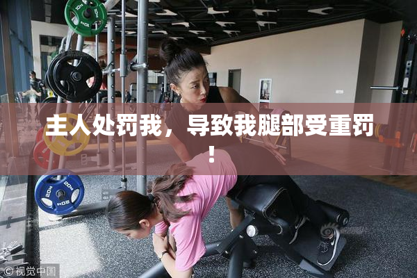 主人处罚我，导致我腿部受重罚！
