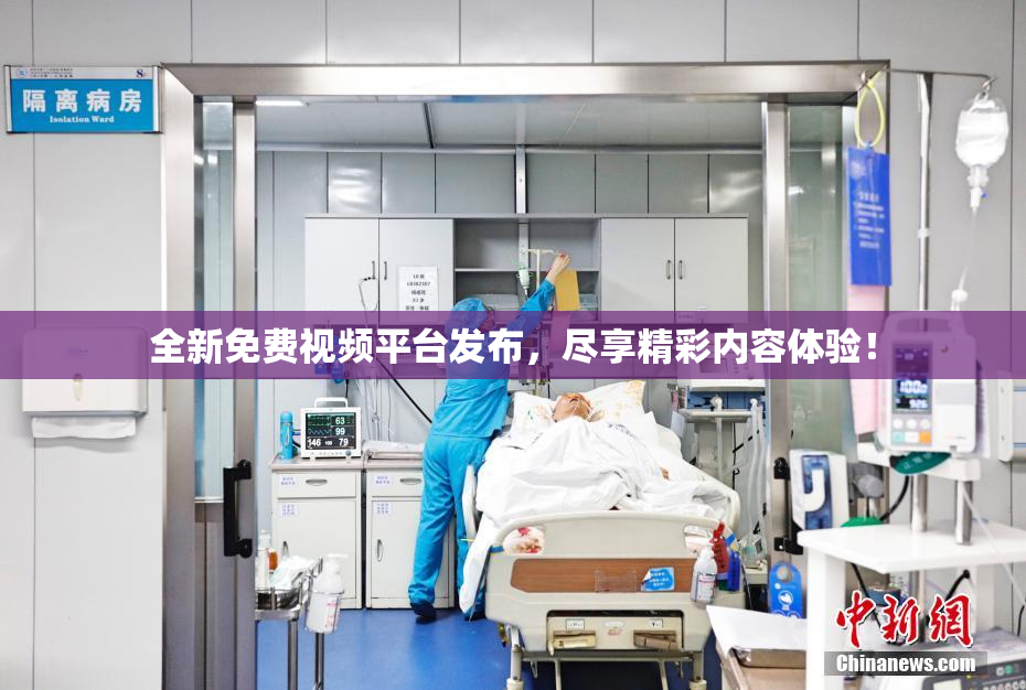 全新免费视频平台发布，尽享精彩内容体验！
