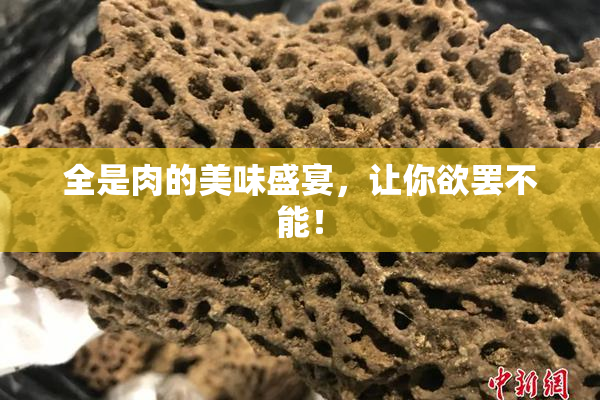 全是肉的美味盛宴，让你欲罢不能！